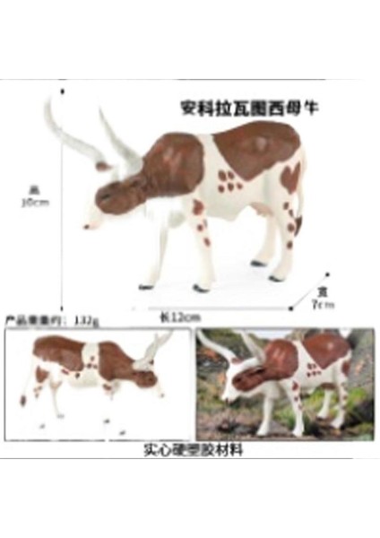 Hayvan Modeli Oyuncaklar (Yurt Dışından)