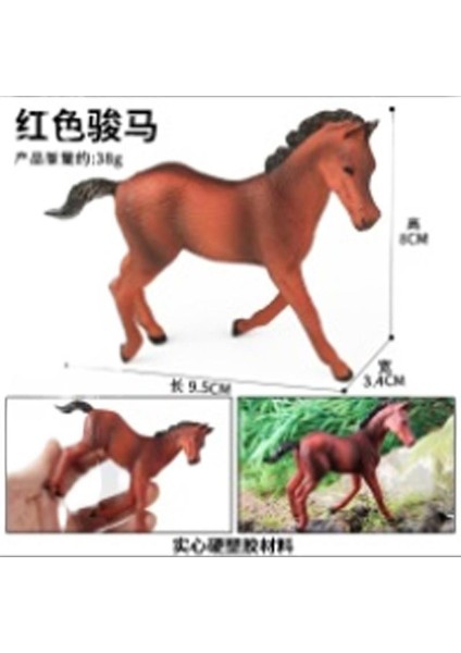 Hayvan Modeli Oyuncaklar (Yurt Dışından)