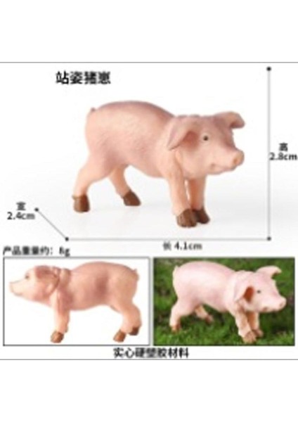 Hayvan Modeli Oyuncaklar (Yurt Dışından)