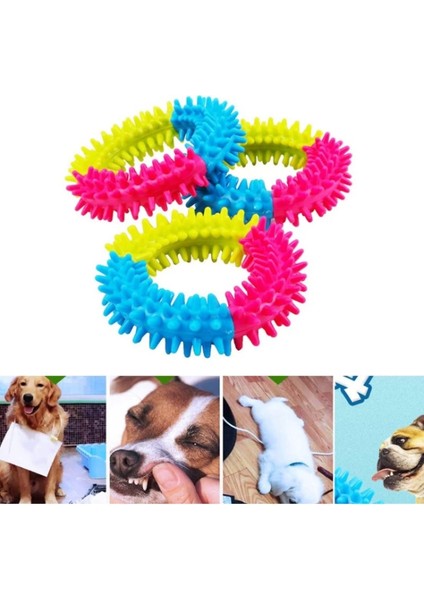 Köpek Isırma Diş Kaşıma Çemberi