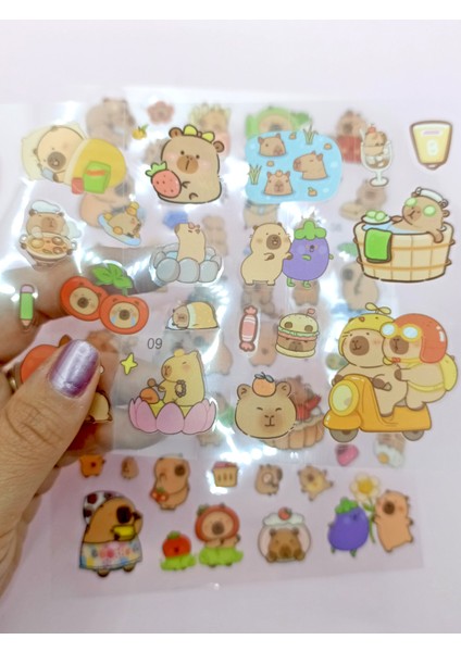 Capybara Sticker Şeffaf Stiker Kapibara Çanta Şeklinde Çıkartma- Komik