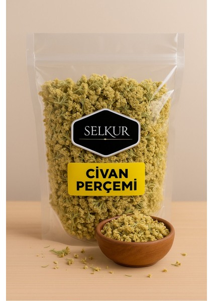 Civan Perçemi,ayvadana,kandil Çiçeği,achillea 50gr