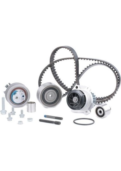 Bogap Premıum Eksantrik Kiti + Devirdaim (Dayco Kayışlı) vw Passat / Audı A4