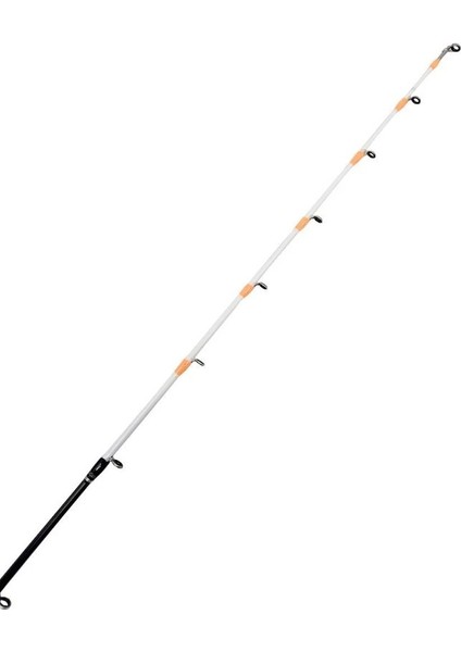 Hazır Tekne Oltası Seti Okuma Orata Tekne Kamışı 202CM 150-200GR 2 Parça Olta Kamışı&okuma Revenger 55 Fd Olta Makinesi