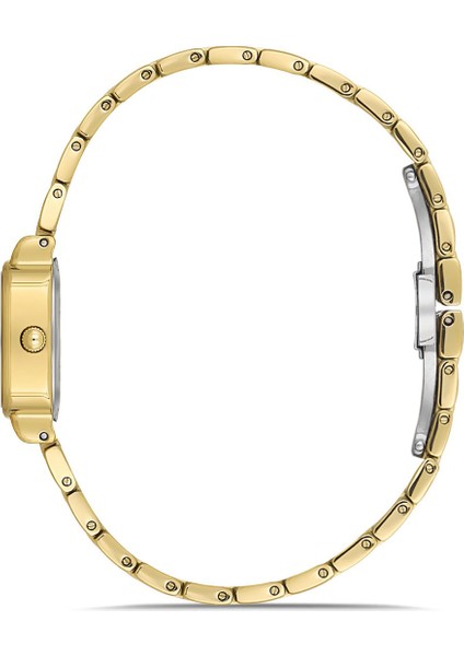 David Güner Kadın Kol Saati DG-8833LA-B4 modelleri