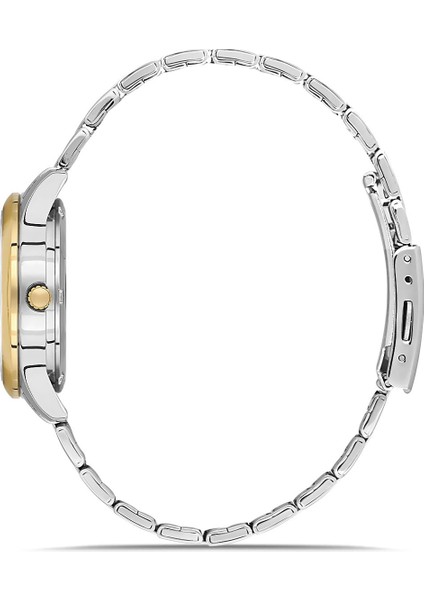 David Güner Bayan Kol Saati DG-8717LA-D1 modelleri