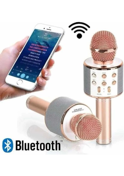 Karaoke Mikrofon Dahili Hoparlörlü Sd-Usb-Aux Girişli Bluetooth Hoparlör