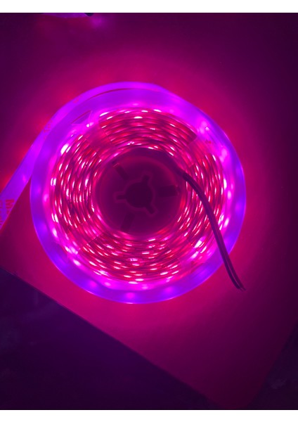 Pembe LED Şerit fiyatları
