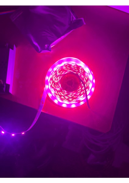 Pembe LED Şerit modelleri