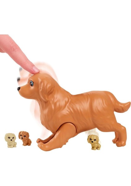 HCK75 Barbie ve Yeni Doğan Köpekler Oyun Seti, Barbie ve Hayvanları