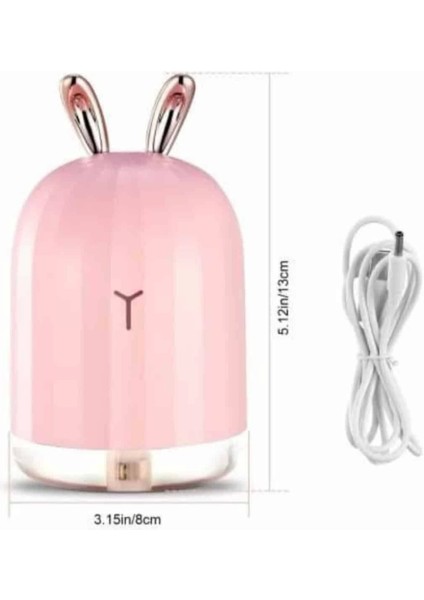 LED Işıklı Hava Nemlendirici Buhar Makinesi Dekoratif Aromaterapi
