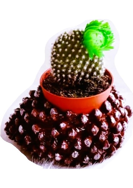 6cm Kozalak Tealight Saksı Mumluk Silikon Kalıp K-400 indirimleri