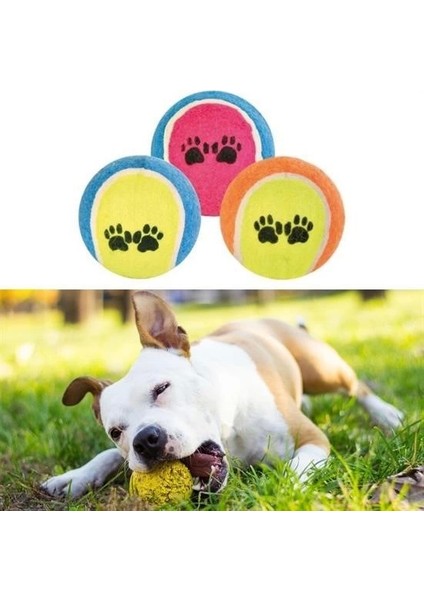 Fırsat Byr 3lü Renkli Desenli Tenis Topu Kedi Köpek Oyuncağı Yeni