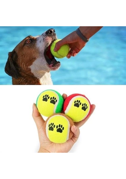Fırsat Byr 3lü Renkli Desenli Tenis Topu Kedi Köpek Oyuncağı Yeni