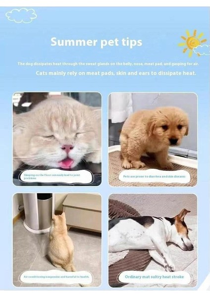 Pet Buz Pedi Soğutucu Kedi Yaz Soğutucu Uyku Pedi (Yurt Dışından)
