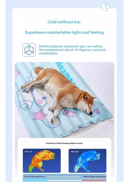 Pet Buz Pedi Soğutucu Kedi Yaz Soğutucu Uyku Pedi (Yurt Dışından)