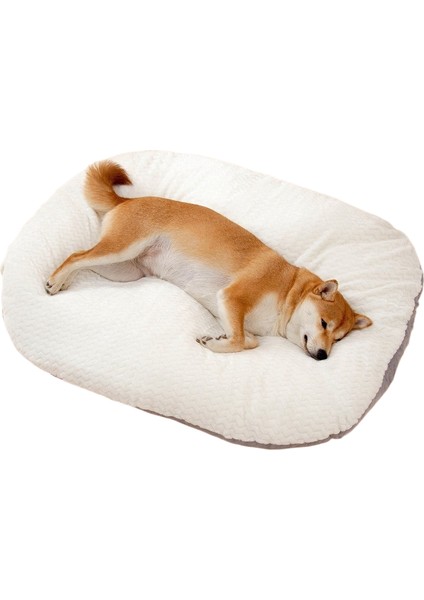 Pet Kedi Matı Dört Mevsim Üniversal Kedi Kumu (Yurt Dışından)