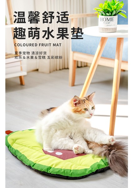 Pet Bahar ve Yaz Soğutucu Mevsimlik Soğutma Pedi (Yurt Dışından) fırsatları