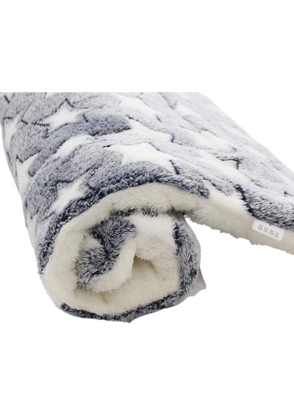 Pet Mat Kalınlaştırılmış Model Sonbahar ve Kış Sıcak Altlık (Yurt Dışından)