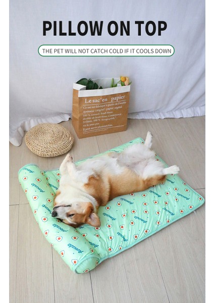 Kedi Kumu Kedi Matı Evcil Hayvan Kumu (Yurt Dışından) fırsatları