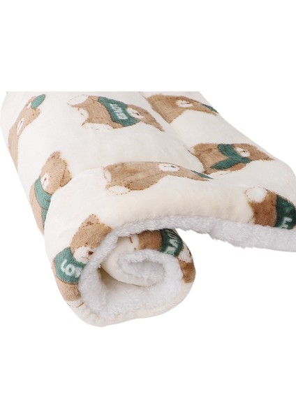 Pet Mat Kalınlaştırılmış Model Sonbahar ve Kış Sıcak Altlık (Yurt Dışından)