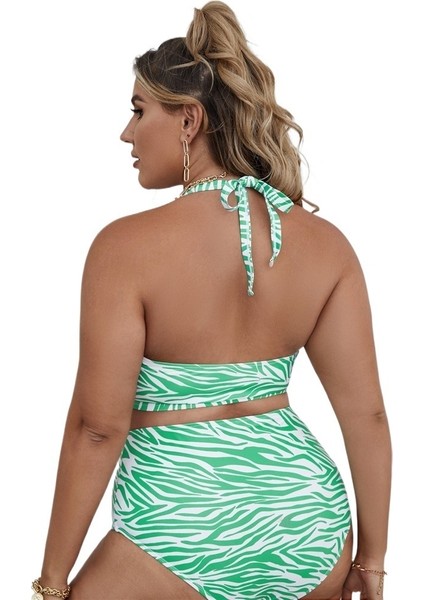 Yaz Büyük Beden Bikini Çizgili Baskılı Çok Renkli Iki Parçalı Yüksek Bel Külot Kadın Mayo Beden: 0xl (Yurt Dışından) modelleri