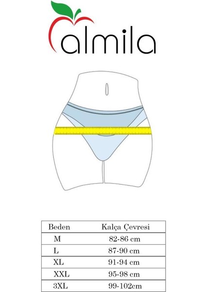 (5 Adet) Yüksekbel Classic High Leg Brief Kadın Külot 2057