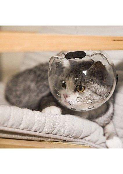 Kediler Için Çizilmez Ağız Kapağı Evcil Hayvan Tırnak Makası Koruması (Yurt Dışından) fiyatları