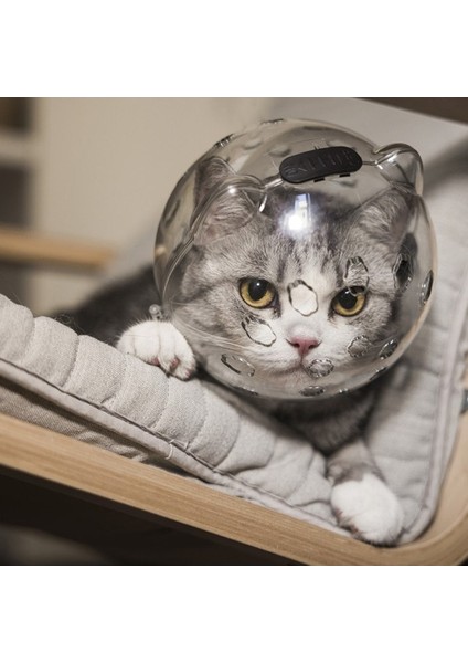 Kediler Için Çizilmez Ağız Kapağı Evcil Hayvan Tırnak Makası Koruması (Yurt Dışından) modelleri