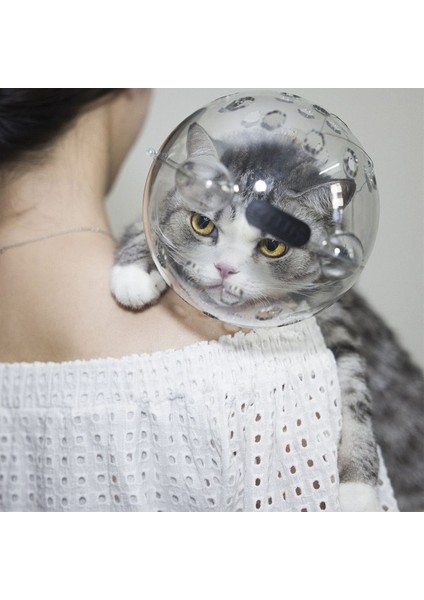 Kediler Için Çizilmez Ağız Kapağı Evcil Hayvan Tırnak Makası Koruması (Yurt Dışından) fırsatları