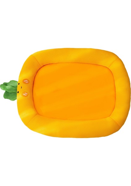 Ilkbahar ve Yaz Matı Yaz Soğutucu Kumu Soğutma Kedi Kumu Evcil Hayvan Kumu (Yurt Dışından)