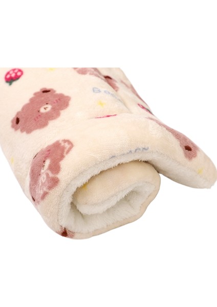 Pet Mat Kalınlaştırılmış Model Sonbahar ve Kış Sıcak Altlık (Yurt Dışından)