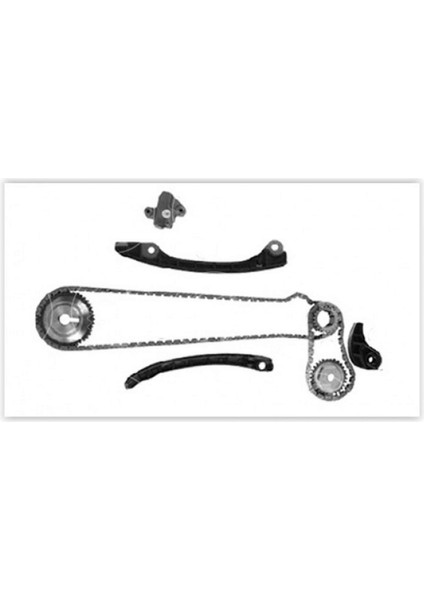 Eksantrik Zincir Kiti Clio Iv 1.2 Tci Motor 09 Dpmah