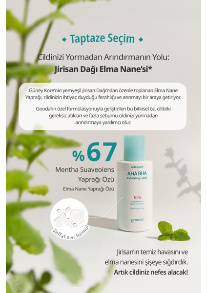 %10 Aha Bha Içerikli Peeling Solüsyonu Goodal Apple Mint Aha Bha 10% Exfoliating Liquid