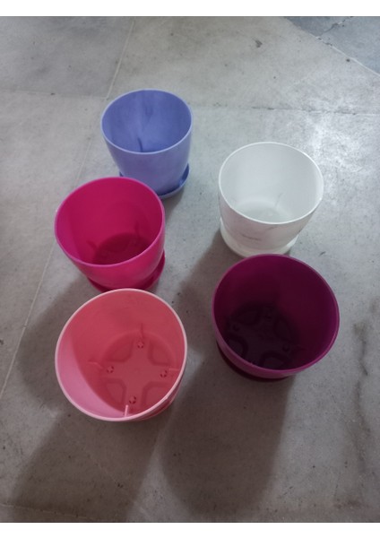 Küçük Saksı Begonya No:0 Modeli 5 Adet fiyatları