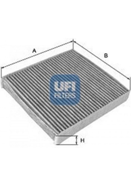 Polen Filtresi Mgn Iii 1.4-1.6-2.0 16V Dci 08 Karbonlu Dpmah