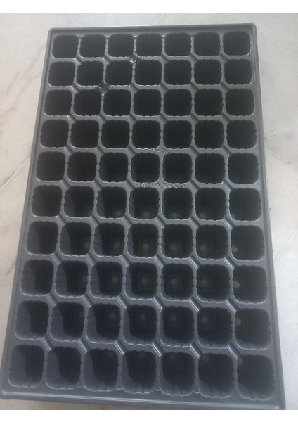 Fidelik, Fide Viyolu, 70 Gözlü 5 Adet