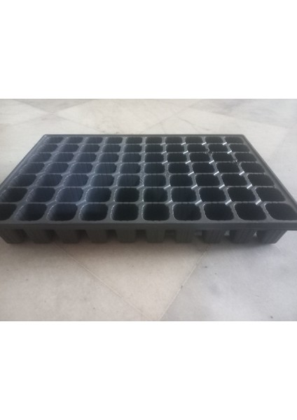 Fidelik, Fide Viyolu, 70 Gözlü 5 Adet fiyatları