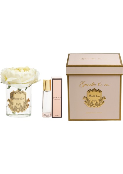 Guerlieandco. Krem Tek Şakayık Gold