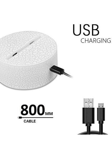 3'ü Bir Arada 3D Dinozor Gece Lambası - 3D Illusion Lam (Yurt Dışından) fiyatları