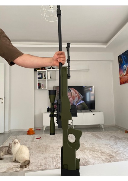 Csgo Awp