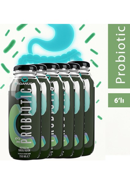 Probiotic Smoothie 6lı Paket