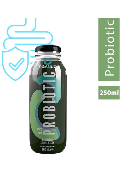 Probiotic Smoothie 250 ml
