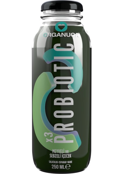 Probiotic Smoothie 250 ml