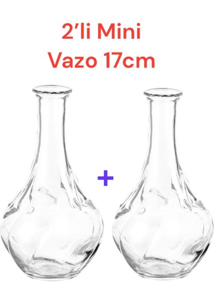 2 Adet Dekoratif Cam Vazo, Viljestark 17 cm