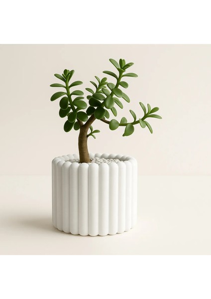 Terraline – Modern Çizgili 3D Baskı Saksı | Beyaz | 13,5 x 10 cm