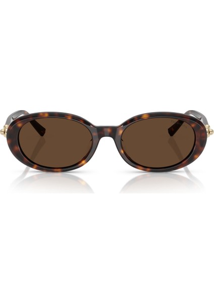 Tıffany 4242D 80153G 54-19 Kadın Güneş Gözlüğü fiyatları