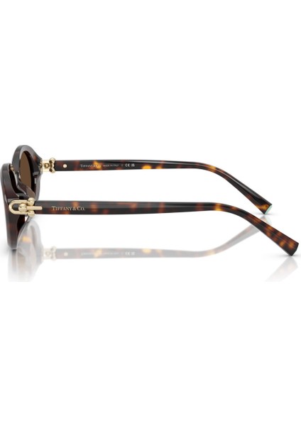 Tıffany 4242D 80153G 54-19 Kadın Güneş Gözlüğü modelleri