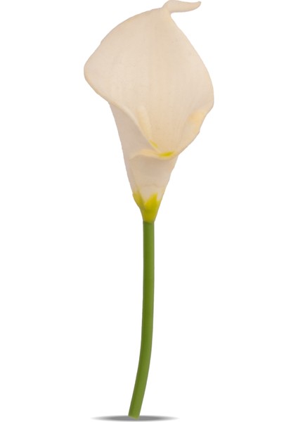 Babalar Günü Basic Hediye Sepeti modelleri