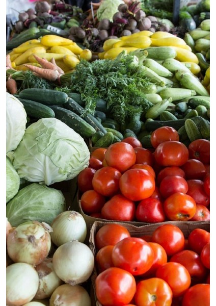 Şeker Gübresi Çim Gübresi 10 kg ( Açık Paket Gönderilir.) fiyatları